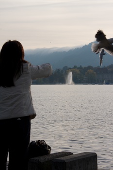 ./20091024-161222.jpg