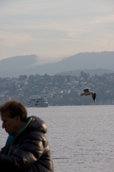 ./20091024-161314.jpg
