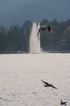 ./20091024-161354.jpg