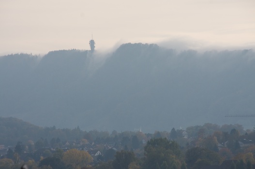 ./20091024-161455.jpg