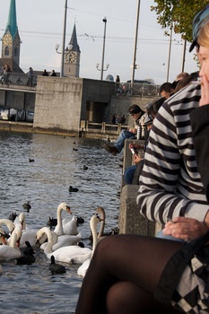 ./20091024-161559.jpg