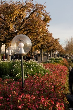 ./20091024-163144.jpg