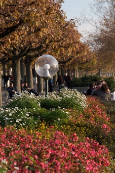 ./20091024-163202.jpg