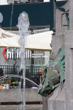 ./20090819-141044.jpg
