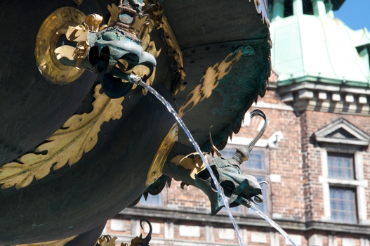 ./20090819-141127.jpg