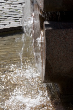 ./20090819-141805.jpg