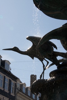 ./20090819-142434.jpg