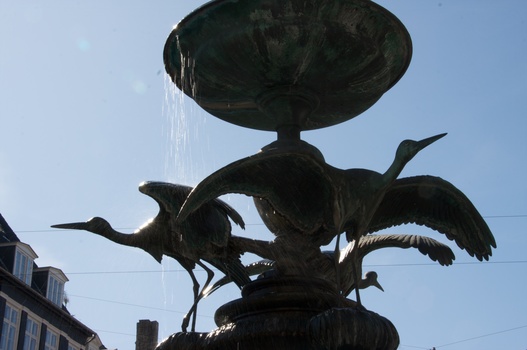 ./20090819-142456.jpg