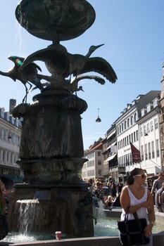 ./20090819-142514.jpg