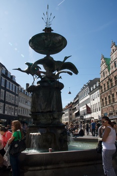 ./20090819-142529.jpg