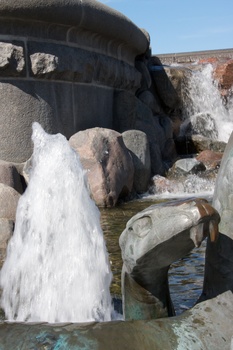 ./20090819-143627.jpg