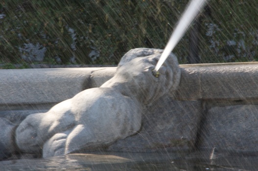 ./20090819-143801.jpg