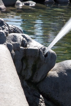 ./20090819-143821.jpg
