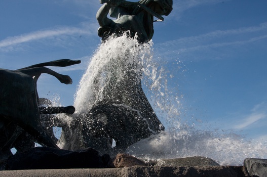 ./20090819-144033.jpg