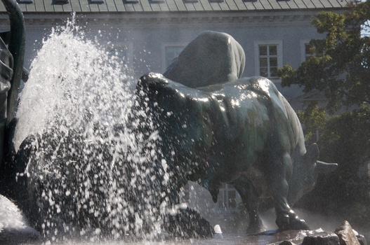 ./20090819-144307.jpg