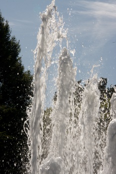 ./20090819-152052.jpg