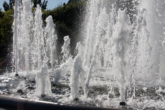 ./20090819-152110.jpg