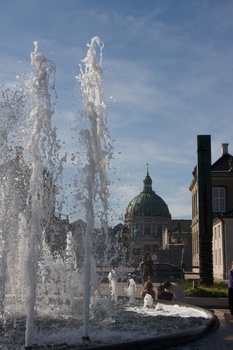 ./20090819-152126.jpg