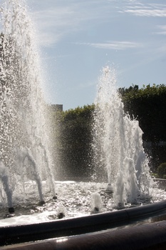 ./20090819-152206.jpg