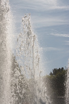 ./20090819-152227.jpg