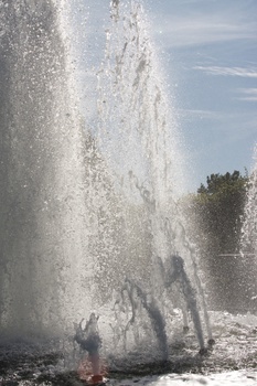 ./20090819-152244.jpg
