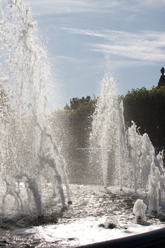 ./20090819-152250.jpg