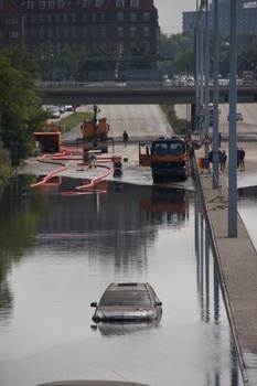 ./20100815-131920.jpg