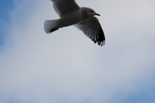 ./20090208-134254.jpg