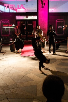 ./20080710-225213.jpg